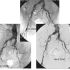 Diapositiva 29